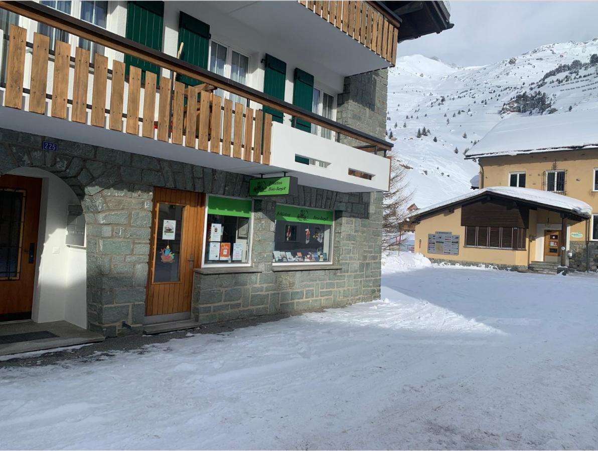 Apartamento Heimelige Mit Sicht In Bergwelt Bivio