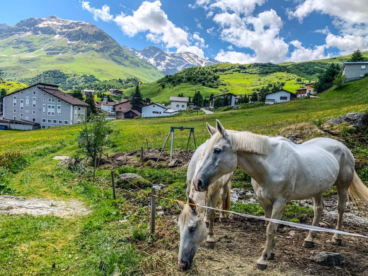 Heimelige Mit Sicht In Bergwelt Bivio