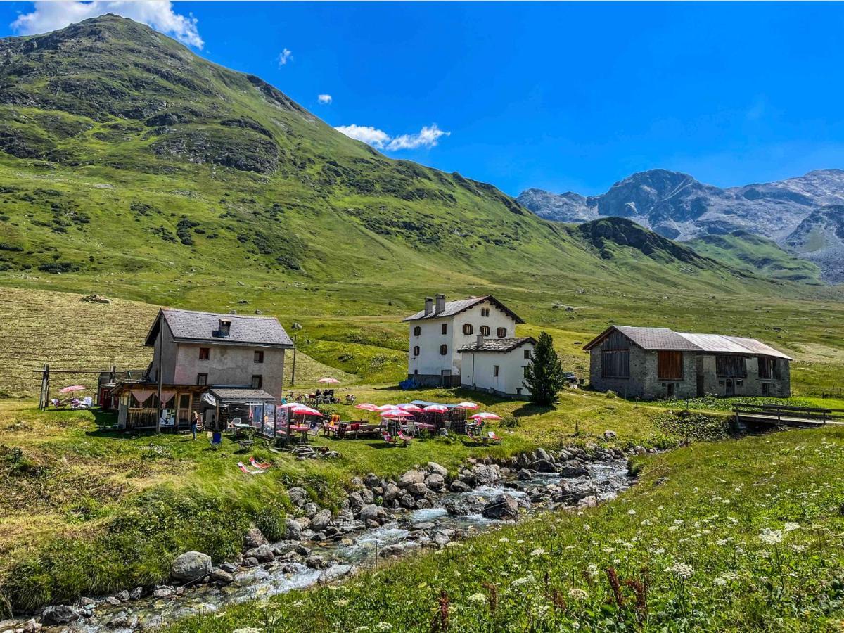 Apartamento Heimelige Mit Sicht In Bergwelt Bivio